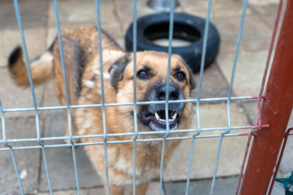 Patryk Bilski: Powiem przekornie, że wolałbym tej pracy nie mieć
