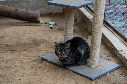Patryk Bilski: Powiem przekornie, że wolałbym tej pracy nie mieć
