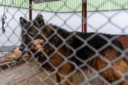 Patryk Bilski: Powiem przekornie, że wolałbym tej pracy nie mieć Patryk Bilski: Powiem przekornie, że wolałbym tej pracy nie mieć