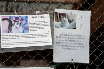 Patryk Bilski: Powiem przekornie, że wolałbym tej pracy nie mieć