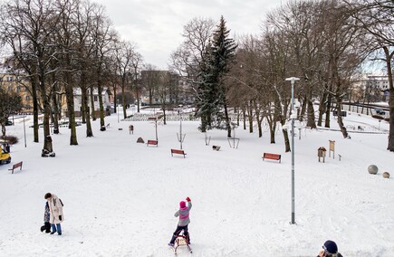W Elblągu zimowo. Zobacz zdjęcia