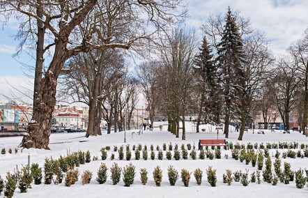 W Elblągu zimowo. Zobacz zdjęcia