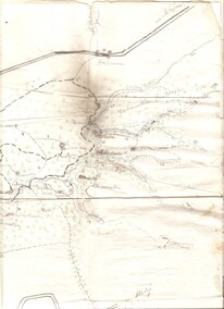 Jaszczurki w harcerskich mundurach  (Z Archiwum Społecznego) 