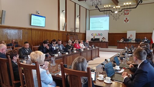 Nad czym głosowali radni