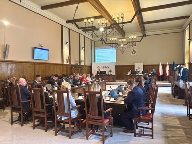 Nad czym głosowali radni