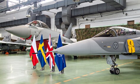 W obronie polskiego nieba