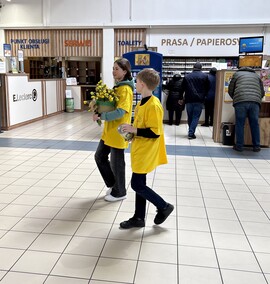 Żonkilowe kwestowanie