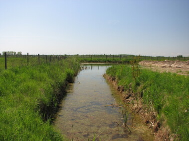 Dariusz Baran: Całe życie szkoliłem żołnierzy Dariusz Baran: Całe życie szkoliłem żołnierzy