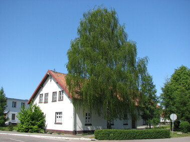 Dariusz Baran: Całe życie szkoliłem żołnierzy