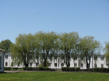 Dariusz Baran: Całe życie szkoliłem żołnierzy Dariusz Baran: Całe życie szkoliłem żołnierzy
