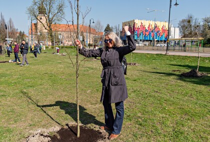 Skwer jak młody buk Skwer jak młody buk