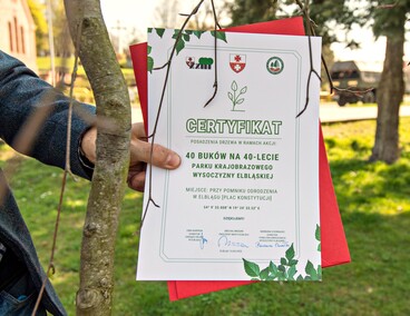 Skwer jak młody buk Skwer jak młody buk