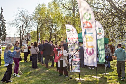 Skwer jak młody buk