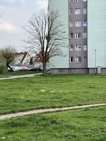 Mieszkaniec Malborskiej: Tu potrzebna jest interwencja