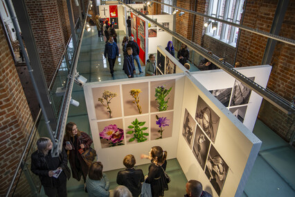 Młodość, sztuka, dyplom