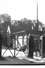 Henryk Myśliński: Styren traktuję jak moje dziecko