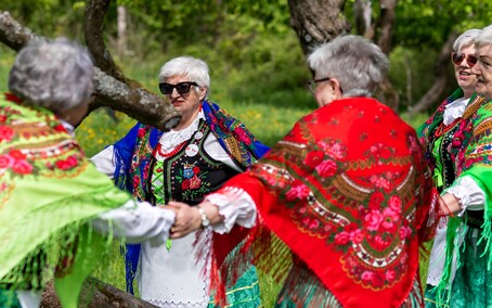 Sasanki pełne energii