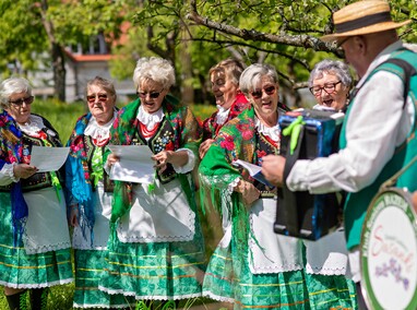 Sasanki pełne energii