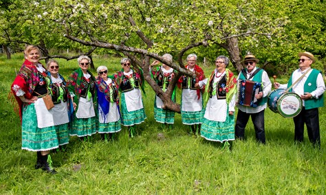 Sasanki pełne energii