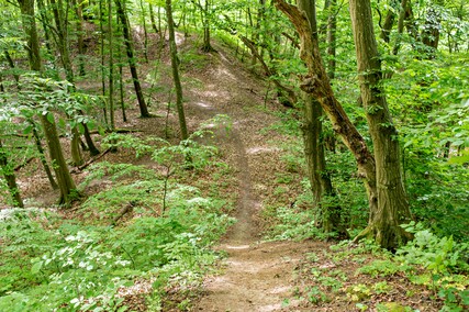 Bażantarnia czeka na kolarzy MTB