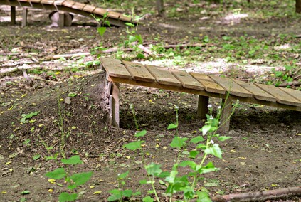 Bażantarnia czeka na kolarzy MTB