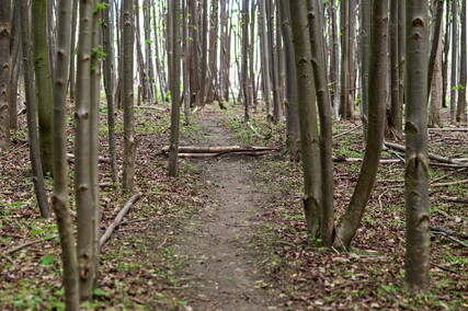 Bażantarnia czeka na kolarzy MTB