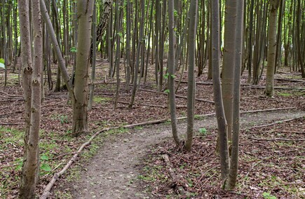 Bażantarnia czeka na kolarzy MTB