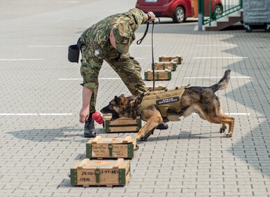 Nos i cztery łapy na służbie