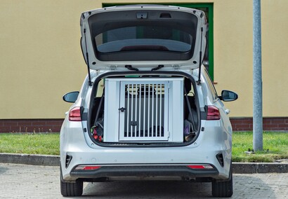 Nos i cztery łapy na służbie