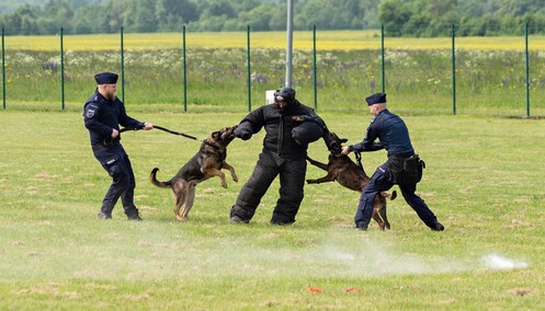 Nos i cztery łapy na służbie
