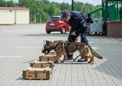 Nos i cztery łapy na służbie