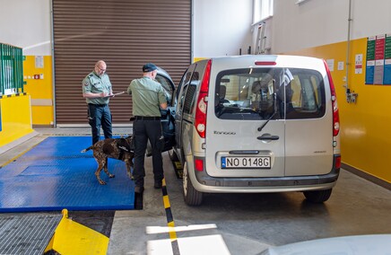 Nos i cztery łapy na służbie