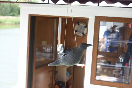 Jantar wrócił do domu