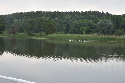 Jantar wrócił do domu