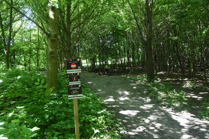 Powstały trasy dla miłośników MTB