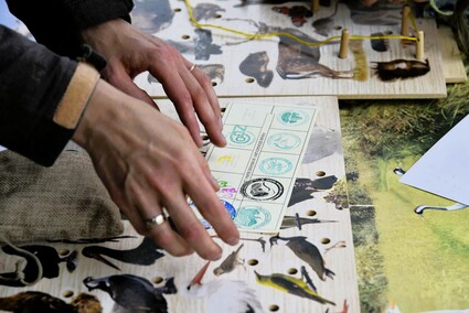 Świętowanie w Krainie Buka