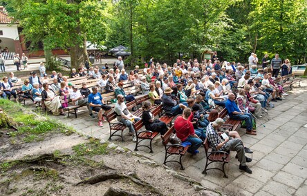 Scena, stolik, salon, Bażantarnia