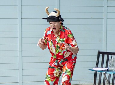 Scena, stolik, salon, Bażantarnia