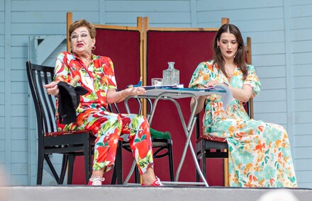 Scena, stolik, salon, Bażantarnia