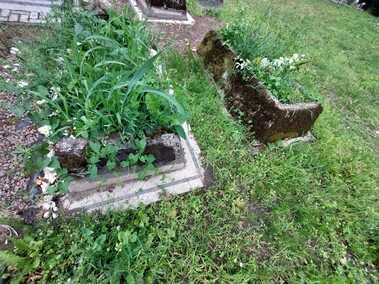Pęciszewo  (Letnie przystAnki  odc. 4) 