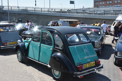 Hamburger w dłoń i w drogę