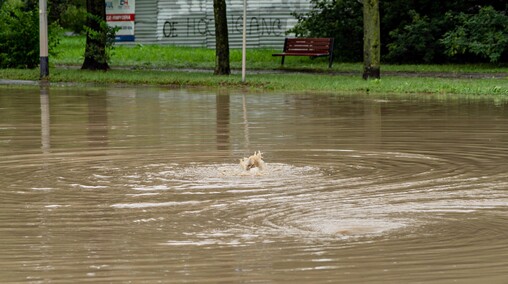 Szpital uratowany przed wodą, okolice zalane