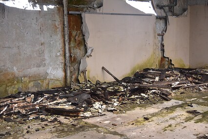 Rośliny wracają do hal po Komnicku