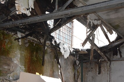 Rośliny wracają do hal po Komnicku