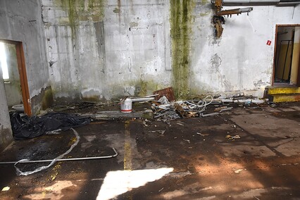 Rośliny wracają do hal po Komnicku