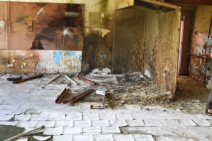 Rośliny wracają do hal po Komnicku