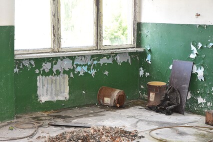 Rośliny wracają do hal po Komnicku