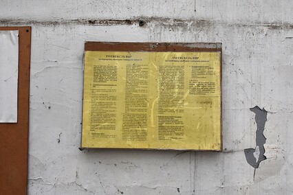 Rośliny wracają do hal po Komnicku