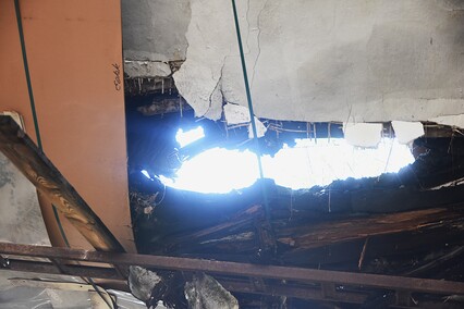 Rośliny wracają do hal po Komnicku