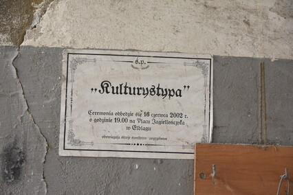 Rośliny wracają do hal po Komnicku